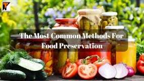 What is the best preservative for food?