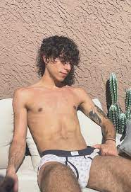 Shirtless Male Hairy Legs Briefs Tattooed Arm Curly Hair Beefcake 4X6 PHOTO  E454 – ASA College: Florida