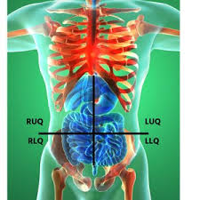 What are you waiting for? Abdominal Pain 101 For Ems The Abdominal Quadrants