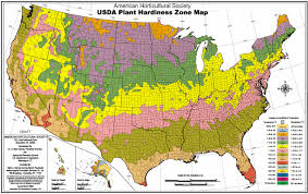 54 Logical Plant Growing Zone Chart