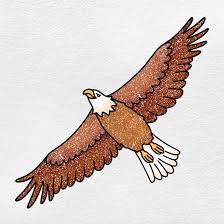 how to draw a eagle flying oartsy
