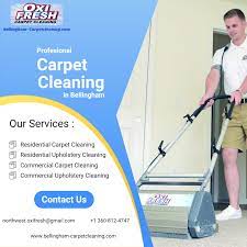 bellingham s best carpet cleaners