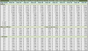15 Described Navy Reserve Drill Pay Chart