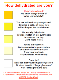Hydration Chart For Those That Dont Know Simple Survival