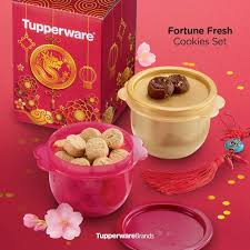 ready stock tupperware cny cookies gift