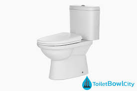 Saniton Toilet Bowl Toilet Bowl