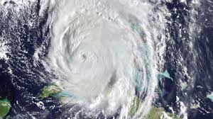 In response, the florida legislature established citizens property insurance corporation in 2002. Citizens Insurance Online Portal To Report Track Claims Planned By 2018 Hurricane Season South Florida Sun Sentinel South Florida Sun Sentinel