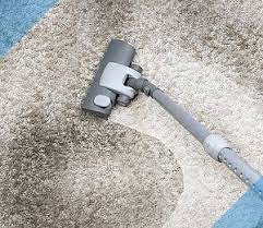 carpet cleaning services cole carpet care