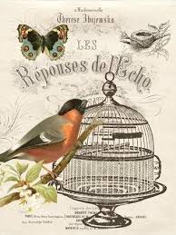 Birdcage Posters Wall Art Prints