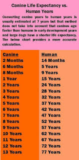 Chart Of Dog Years To Human Years Dog Years Chart Dog