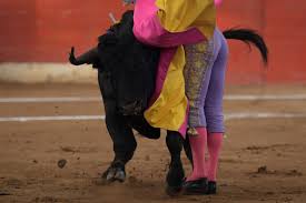 Tras receso por COVID-19, las corridas de toros regresan a Colombia -  LaKalle