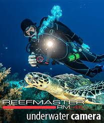 sealife underwater cameras best