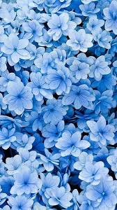 blue flower phone hd wallpapers pxfuel