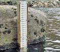 water gage