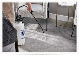 carpet cleaning in the olympia wa