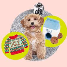 A welcome home new puppy gift basket would be something special for any puppy, filled with lots of treats and toys. 22 Dog Christmas Gifts For Your Puppy Gift Ideas For Dog Lovers