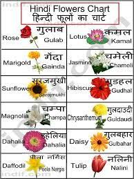 Related Image Hindi Language Learning Hindi Worksheets