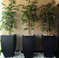 Silk Plants Artificial Plants
