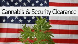 Cannabis Security Clearance