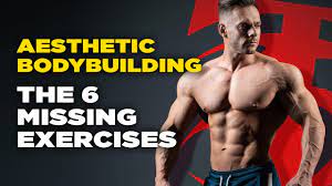 aesthetic bodybuilding the 6 missing