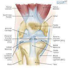 torn knee ligament home remes