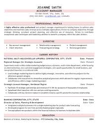 Professional Sales Resume Example Clothing Apparel Store