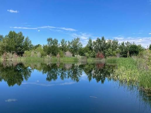 Exploring Marianne Williams Park in Boise