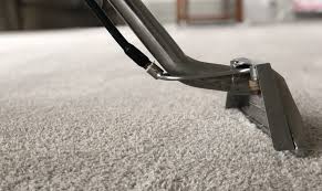 the 1 carpet cleaning in atlanta with
