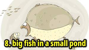 english idioms 8 big fish in a small