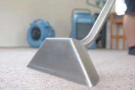 elite carpet cleaning business search nz