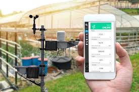 7 wireless weather station options