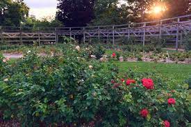 Find 12 listings related to family garden in columbus on yp.com. Best Romantic Things To Do Outdoors In Columbus Ohio