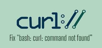 how to fix bash curl command not