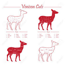 Venison Meat Cut Diagram Scheme Elements Set Red On White Background