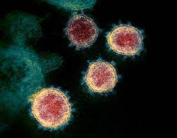 See data, maps, social media trends, and learn about prevention measures. Severe Acute Respiratory Syndrome Coronavirus 2 Wikipedia