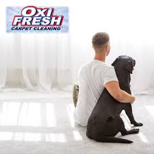oxi fresh carpet cleaning silver spring