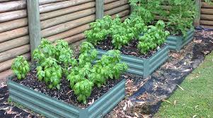 15 Backyard Vegetable Garden Ideas For