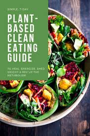 plant based t guide and recipes