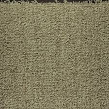 masland carpetsbellinimasticecarpet
