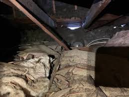 Attic Cleaning Insulation
