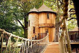 Timeless Treehouse Designs Blue Forest