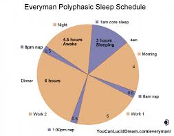 Everyman Sleep Schedule Pie Chart Polyphasic Sleep