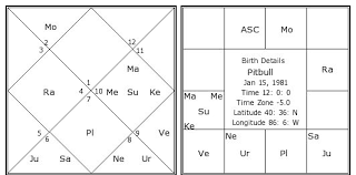 Pitbull Birth Chart Pitbull Kundli Horoscope By Date Of