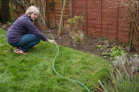 How To Create A Lawn Edge Rhs Gardening