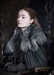 But in the game of thrones series finale, bran stark is declared king instead while sansa is crowned queen in the north. Game Of Thrones Sophie Turner Responds To Season 8 Critics