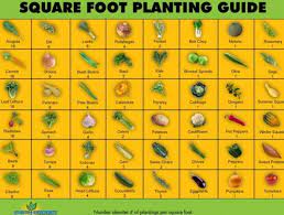 An Introduction To Square Foot Gardening