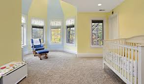 carpet cleaning south jersey first