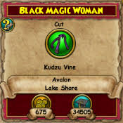 quest black magic woman wizard101 wiki