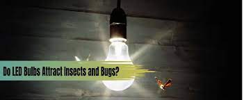 Do Led Bulbs Attract Insects And Bugs