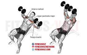 dumbbell chest workout routine for more